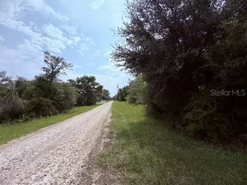 35356 Kramer St, Webster, FL 33597 photo 5
