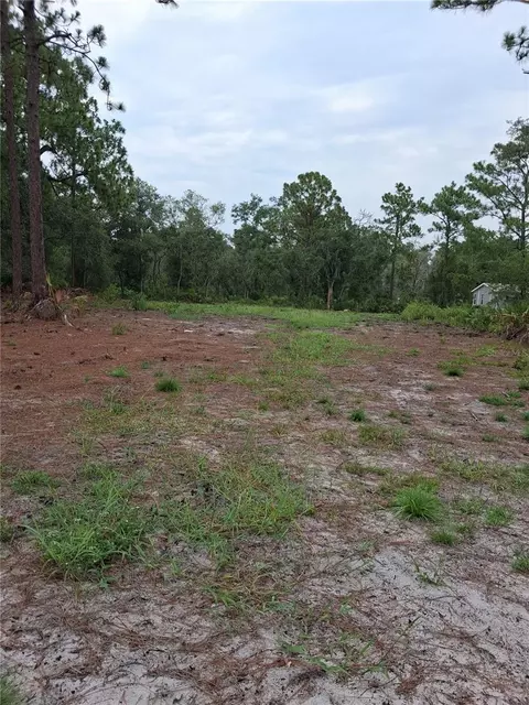Park Forest Boulevard, Mount Dora, FL 32757 photo 2