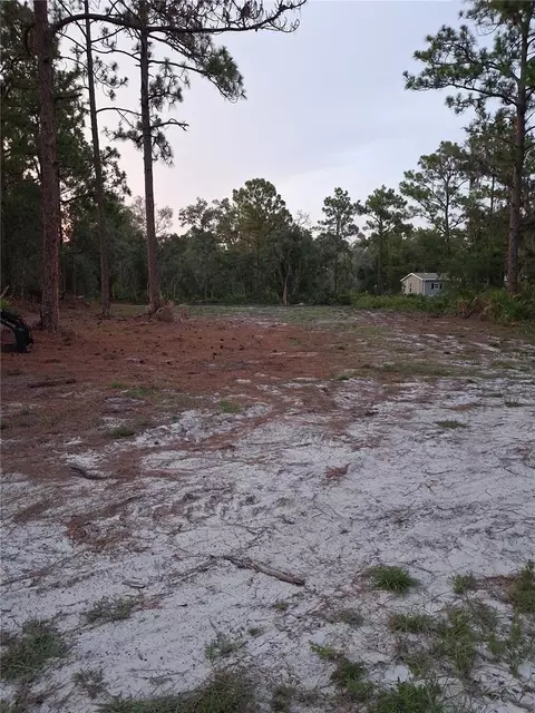 Park Forest Boulevard, Mount Dora, FL 32757 photo 4