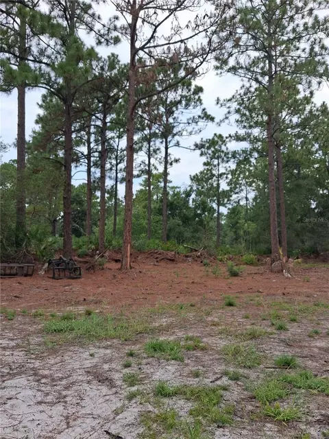 Park Forest Boulevard, Mount Dora, FL 32757 photo 5