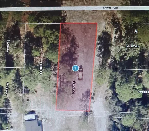 Park Forest Boulevard, Mount Dora, FL 32757 photo 3