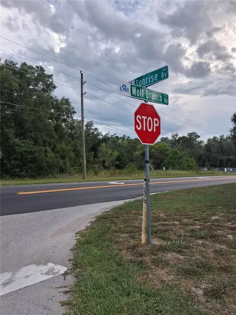 Park Forest Boulevard, Mount Dora, FL 32757 photo 1