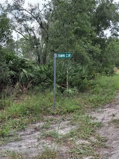 Park Forest Boulevard, Mount Dora, FL 32757 photo 6
