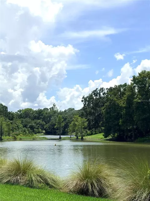 View/Area - 2115 Suzanne Dr, Mount Dora, FL 32757 photo 1 of 5