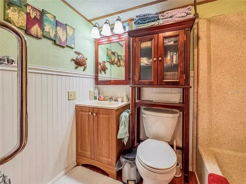 Bath - 10113 SE 24th Dr, Webster, FL 33597 photo 2 of 3