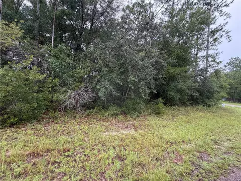 482 W Cabot Ln, Citrus Springs, FL 34434