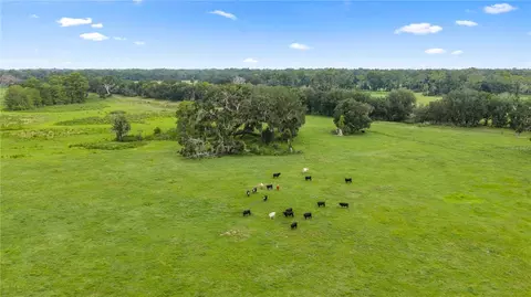 County Road 774, Webster, FL 33597 photo 6