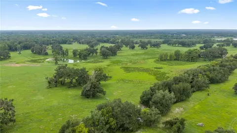 County Road 774, Webster, FL 33597 photo 8