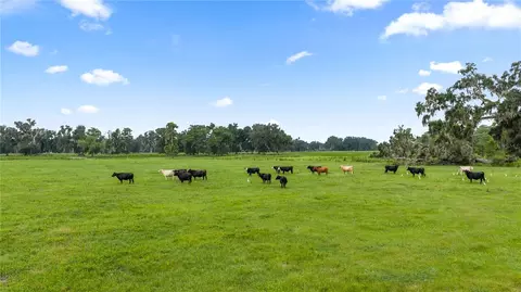 County Road 774, Webster, FL 33597 photo 5