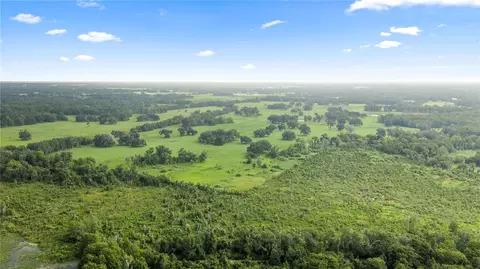 County Road 774, Webster, FL 33597 photo 19