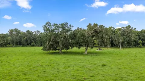 County Road 774, Webster, FL 33597 photo 15