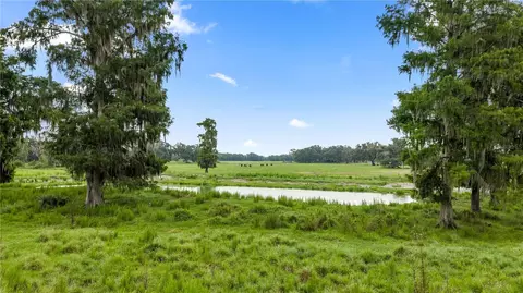 County Road 774, Webster, FL 33597 photo 4