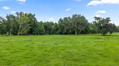 County Road 774, Webster, FL 33597 photo 11