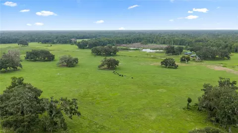 County Road 774, Webster, FL 33597 photo 10