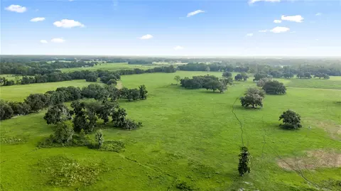 County Road 774, Webster, FL 33597 photo 20