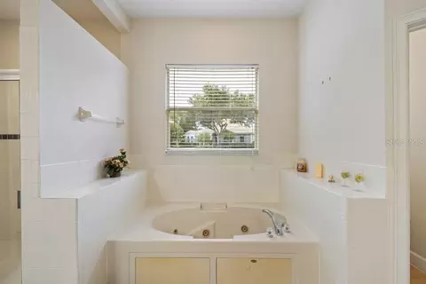 Bath - 2019 Capri Ln, Mount Dora, FL 32757 photo 7 of 9