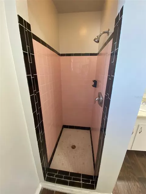 Bath - 803 Haselton St, Eustis, FL 32726 photo 4 of 4
