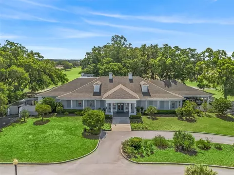 View/Area - 11137 SE 174th Loop, Summerfield, FL 34491 photo 12 of 13