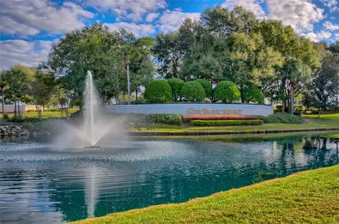 View/Area - 11137 SE 174th Loop, Summerfield, FL 34491 photo 11 of 13