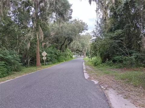 County Rd 730, Webster, FL 33597 photo 2