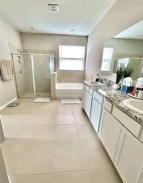 Bath - 6853 SE 3rd Loop, Ocala, FL 34472 photo 3 of 6