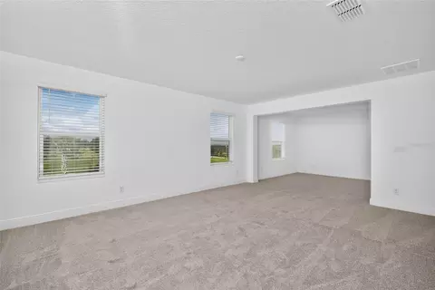 Other - 7501 Catania Loop, Clermont, FL 34714 photo 8 of 12