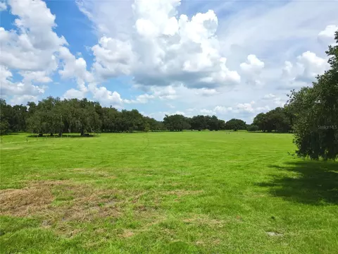 0 W C-478, Webster, FL 33597 photo 8