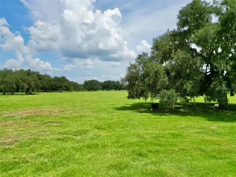 0 W C-478, Webster, FL 33597 photo 7