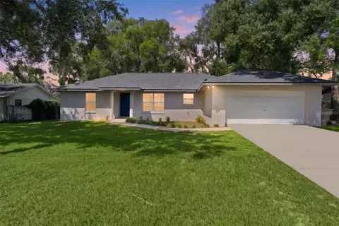 36127 Pine Tree St, Fruitland Park, FL 34731