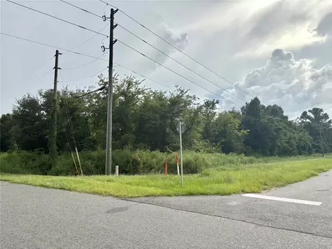 751 Florida 50, Webster, FL 33597 photo 4