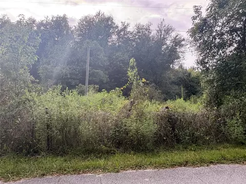 751 Florida 50, Webster, FL 33597 photo 14