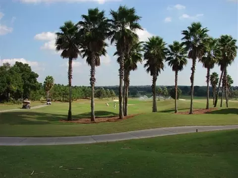 Other - 9588 SE 124th Loop, Summerfield, FL 34491 photo 9 of 13
