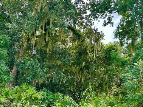 Other - 2333 Farnham Dr, Ocoee, FL 34761 photo 12 of 13