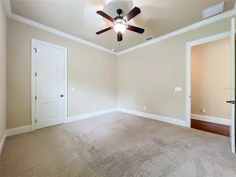 Bedroom - 35719 High Pines Dr, Eustis, FL 32736 photo 2 of 15