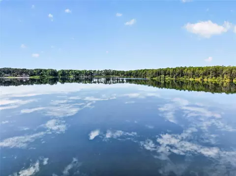 View/Area - 36345 Clear Lake Dr, Eustis, FL 32736 photo 4 of 6
