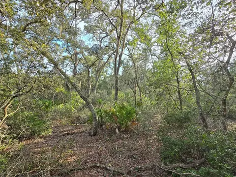 Fisher Way, Ocklawaha, FL 32179