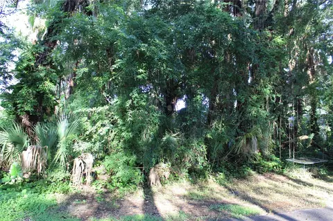 7023 Jasmine Ave, Cocoa, FL 32927 photo 4