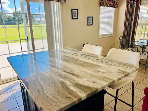 9540 SE 49th Ter, Webster, FL 33597 photo 22