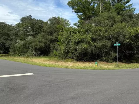 1721 E Colfax Ln, Hernando, FL 34442 photo 4