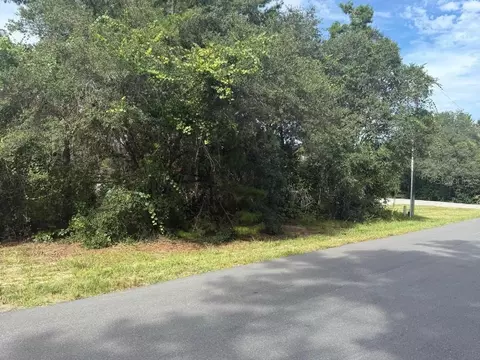 1721 E Colfax Ln, Hernando, FL 34442 photo 2