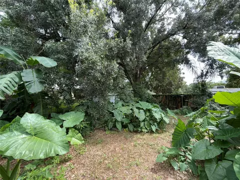 Exterior - 607 Ohio Blvd, Eustis, FL 32726 photo 4 of 4