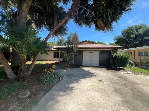509 Jackson St, Eustis, FL 32726 photo 2