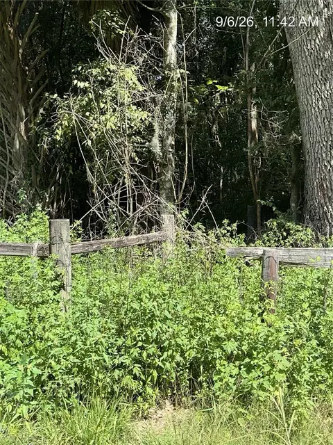 tbd NW 110th St, Reddick, FL 32686 photo 7