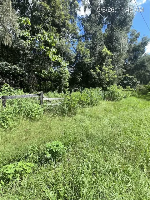 tbd NW 110th St, Reddick, FL 32686 photo 5