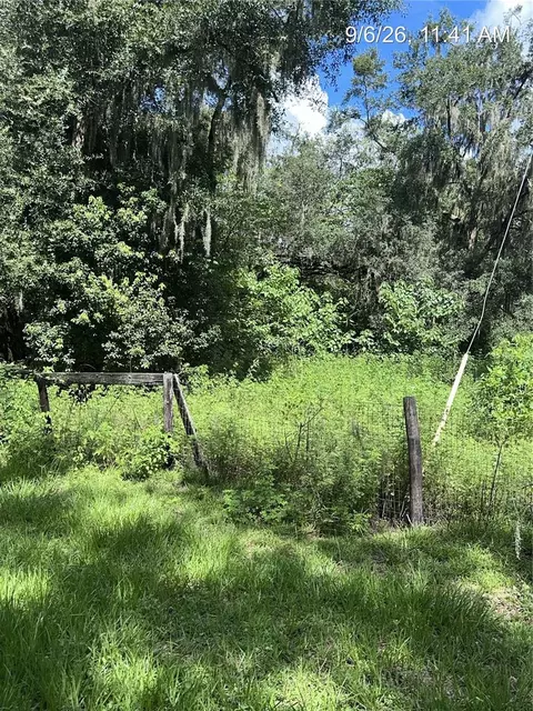 tbd NW 110th St, Reddick, FL 32686 photo 9