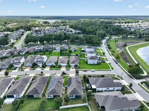 View/Area - 2818 Bigleaf Maple Dr, Ocoee, FL 34761 photo 20 of 25