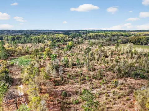 Island Pond Lane, Eustis, FL 32736 photo 19