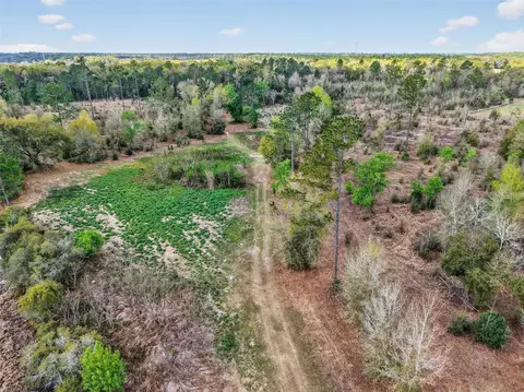 Island Pond Lane, Eustis, FL 32736 photo 17