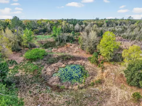 Island Pond Lane, Eustis, FL 32736 photo 8
