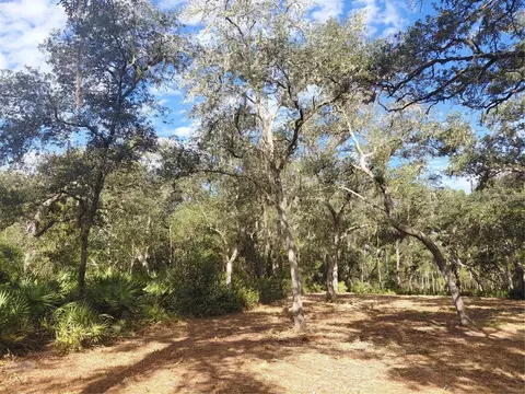 Grindstone Drive, Webster, FL 33597 photo 16